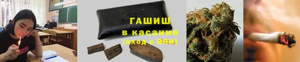 дживик Горняк