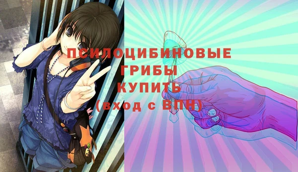 дживик Горняк