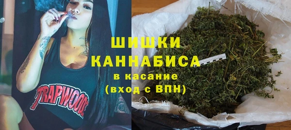 дурь Горно-Алтайск