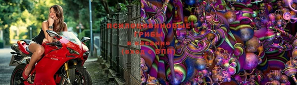 дурь Горно-Алтайск